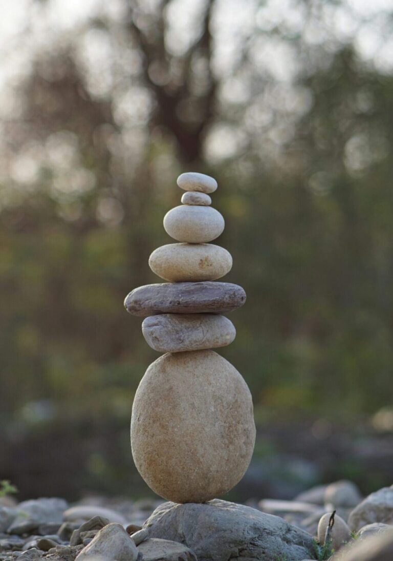 The Wellness Continuum